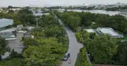 TP.HCM đẩy nhanh thủ tục giải phóng mặt bằng dự án đường ven sông Sài Gòn