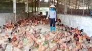 Trang trại Dũng Tân: Mô hình nông nghiệp hữu cơ khép kín, bền vững tại Thái Nguyên
