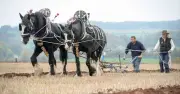 Tranh luận về AI: Lạc quan hay bi quan trước cuộc cách mạng việc làm?
