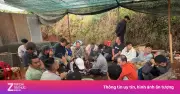 Triệt phá điểm đá gà ăn tiền ở Đà Lạt, tạm giữ hơn 20 người