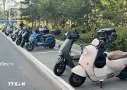 Triệt phá đường dây buôn lậu hơn 500 xe điện ba bánh từ Trung Quốc về Thanh Hóa