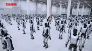 Trung Quốc sắp cấp mã định danh cho mọi robot hình người