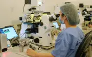 Tuần lễ vàng 2026: Cơ hội IVF miễn phí cho gia đình hiếm muộn