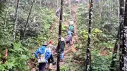 Tuyên Quang: Mất tích người đàn ông lên rừng hái thuốc, huy động 200 người tìm kiếm