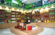 Tuyên Quang đánh thức hương trà Shan Tuyết vươn tầm OCOP 5 sao