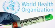 Tây Ban Nha chuẩn bị tiếp nhận du thuyền có nhiều ca nhiễm virus Hanta