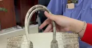 Đấu giá hai túi Hermès bạch tạng của bà Trương Mỹ Lan