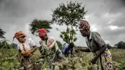 UNDP cảnh báo nợ công đe dọa thành tựu bình đẳng giới toàn cầu