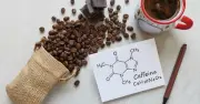 Vụ buôn lậu 50,7 tấn caffeine: Tiến sĩ dược cầm đầu đường dây xuyên quốc gia