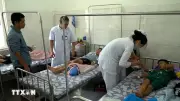 Vụ nghi ngộ độc thực phẩm ở Quảng Trị: Nhiều bệnh nhân đã được xuất viện