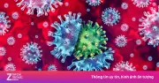 Vaccine cúm mùa 2026: Cập nhật chủng mới để đối phó biến thể virus
