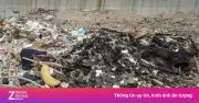 Video bãi biển Thanh Hóa trơ như bãi chống ngập, cánh cây nhọn hoắt
