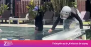 Video: Chiêu thả dây cây xuống hồ bơi giải nhiệt ở khách sạn Hội An