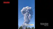 Video: Hai du khách Singapore thiệt mạng trong vụ núi lửa Indonesia phun trào