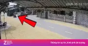 Video hiện trường tai nạn xe máy điện và xe tải khiến 2 mẹ con tử vong
