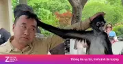 Video mắng, giật tóc giữa khách và nhân viên sở thú Trung Quốc gây sốt