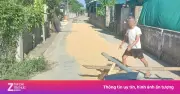 Video: Người dân chặn đường phơi lúa, đối đáp với tài xế ô tô gây bức xúc
