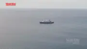 Video: Nhiều nước điều máy bay đón công dân từ con tàu bùng dịch virus Hanta