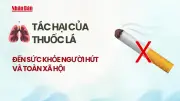 Video tác hại của thuốc lá đến sức khỏe người hút và toàn xã hội