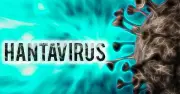 Virus Hanta gây 3 ca tử vong trên tàu du lịch, Bộ Y tế khuyến cáo khẩn