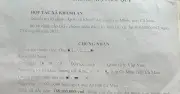 Việt kiều Mỹ kiện hợp tác xã đòi hơn 3,4 tỉ đồng lợi nhuận