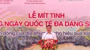 Việt Nam hành động địa phương vì đa dạng sinh học toàn cầu năm 2026