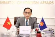 Việt Nam đóng góp tích cực cho thành công Hội nghị cấp cao kỷ niệm ASEAN-Nga