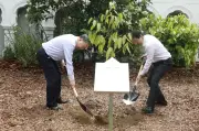 Vườn Bách thảo Singapore: Nơi Tổng Bí thư Tô Lâm trồng cây hữu nghị