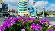 Vĩnh Long rực rỡ sắc tím hoa bằng lăng đầu mùa hè