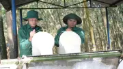 VRG nghiên cứu mở rộng 50.000ha cao-su tại Lào từ năm 2027