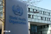 WHO đánh giá nguy cơ lây lan virus Hanta trong cộng đồng ở mức thấp