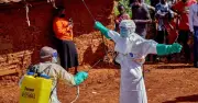 WHO ưu tiên ba loại thuốc điều trị Ebola trong bối cảnh dịch bùng phát