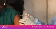 WHO đề xuất thử nghiệm vaccine và thuốc điều trị Ebola mới