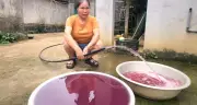 Xả thải khiến giếng nước đổi màu tím, doanh nghiệp bị phạt hơn 1,5 tỷ đồng