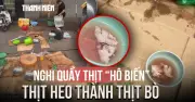 Xác minh vụ nghi bán thịt bò giả ở phường Quy Nhơn, Gia Lai