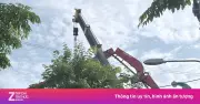Xe bơm bê tông gãy cần tại Gia Lai khiến 1 người chết, 2 người bị thương