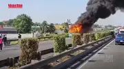 Xe khách chạy trên cao tốc TP Hồ Chí Minh - Trung Lương ùn tắc kéo dài