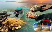 Xóm Việt kiều ven hồ Dầu Tiếng: Nơi những phận người hồi hương tìm chốn an cư