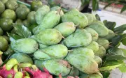 Xoài hột lép là xoài gì mà được nhiều người tiêu dùng ưa chuộng đến vậy?