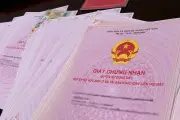 Đề xuất bổ sung trường hợp phát sinh bồi thường Nhà nước