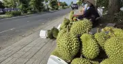 Xuất khẩu sầu riêng ách tắc vì khâu kiểm nghiệm chậm trễ