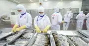 Xuất khẩu thủy sản 2026 dự kiến vượt 12 tỉ USD nhờ tháo gỡ điểm nghẽn
