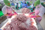 Xuất khẩu thủy sản duy trì đà tăng trưởng, hướng tới mốc 12 tỷ USD