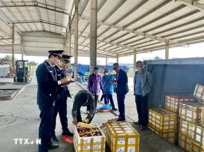 12 nhóm hàng hóa phải làm thủ tục hải quan tại cửa khẩu nhập