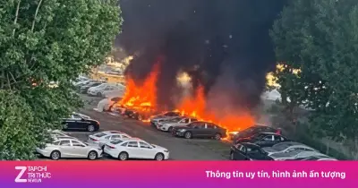 20 xe điện Geely Galaxy A7 bị thiêu rụi vì cụ ông đốt hoa gạo