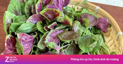 4 loại rau mùa hè giúp thanh nhiệt, bổ gan, giá rẻ bán đầy chợ