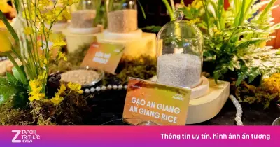 AB InBev kết hợp hoa bia ngoại nhập và gạo An Giang tạo bia thượng hạng