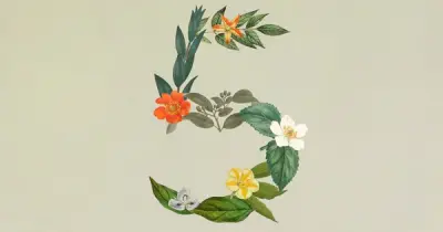Anthropic ra mắt Claude Sonnet 5: Hiệu năng gần bằng Opus, giá chỉ một nửa