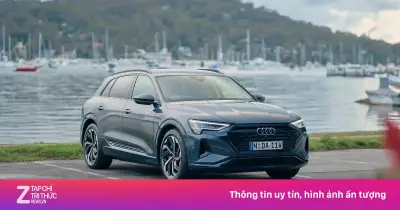 Audi triệu hồi 9 xe điện tại Việt Nam do lỗi bộ trợ lực phanh