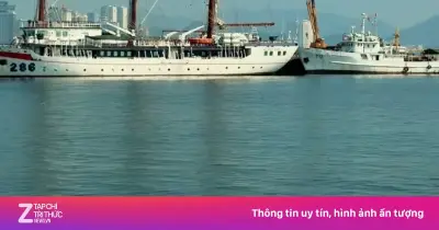 Bộ kệ xóm chụt hút khách nhờ góc ngắm biển và du thuyền
